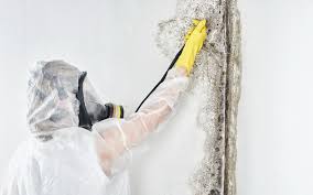 Best Residential Mold Inspection & Testing  in Sabetha, KS